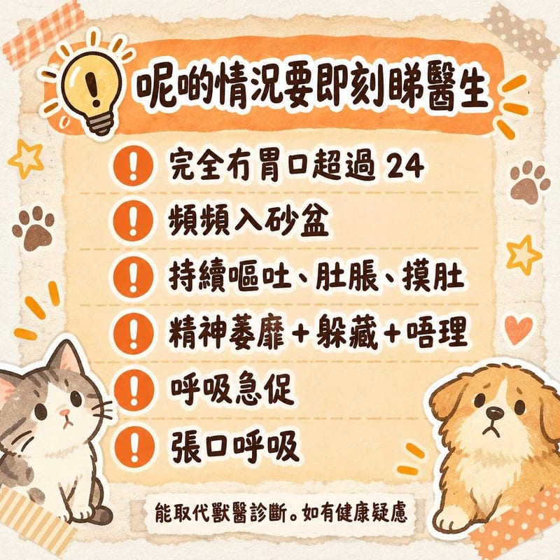 cat-loaf-position-guide 重點整理圖卡 3