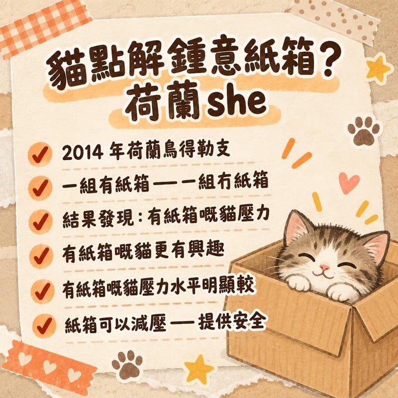cat-loves-boxes-science 重點整理圖卡 3