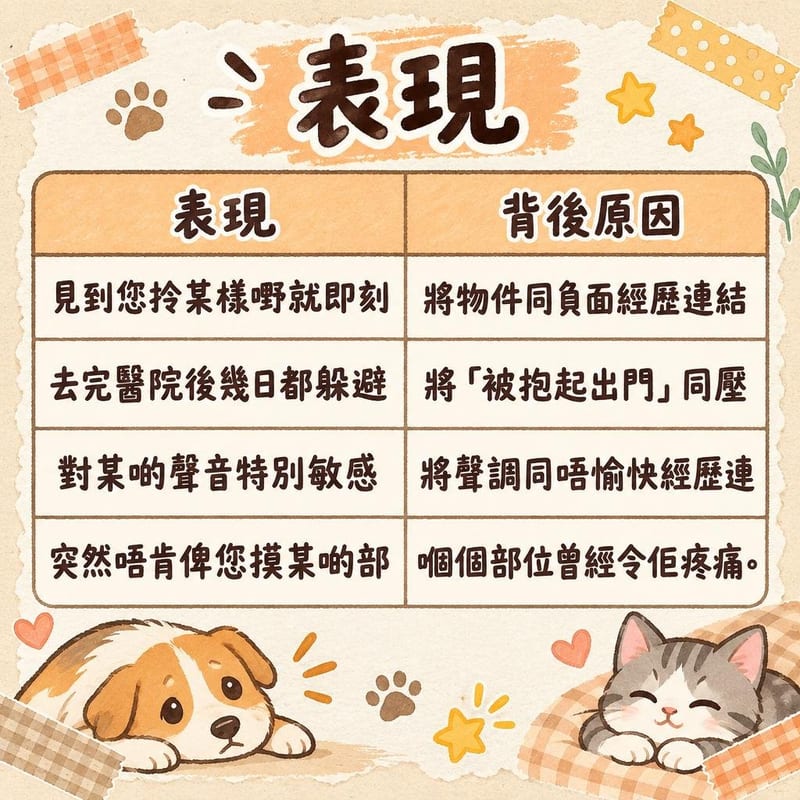 表現|PetChill 圖卡整理