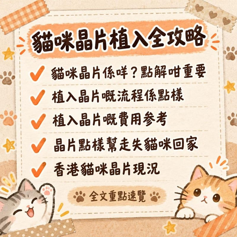 貓咪晶片植入全攻略|PetChill 圖卡整理
