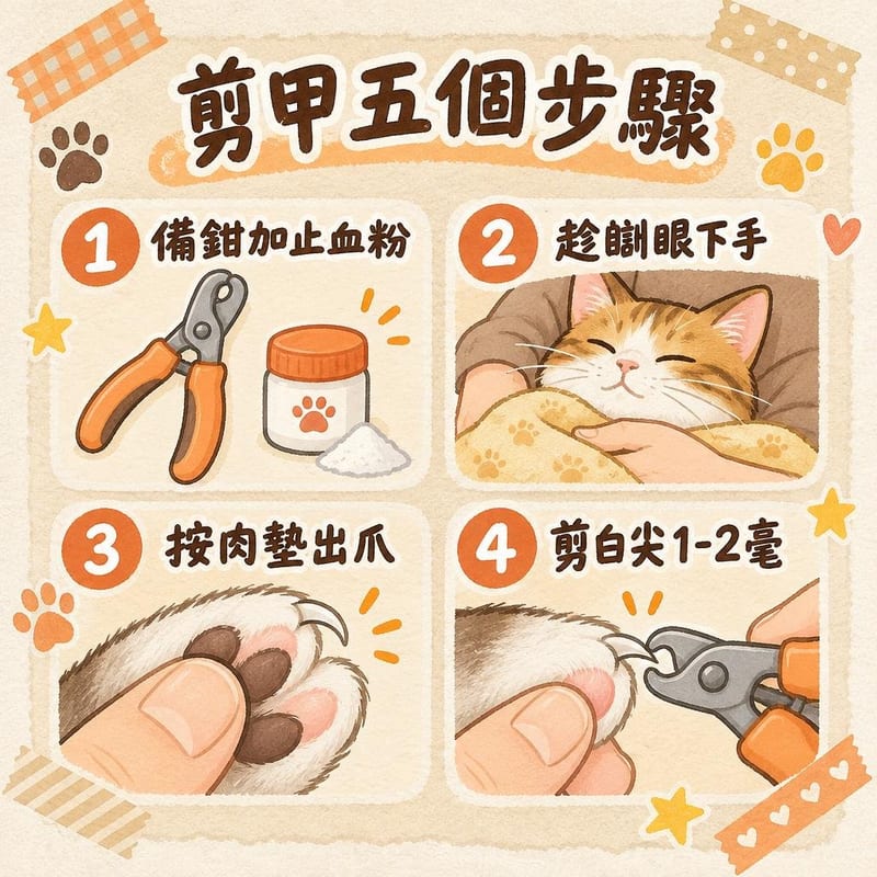 cat-nail-trim 知識圖卡2