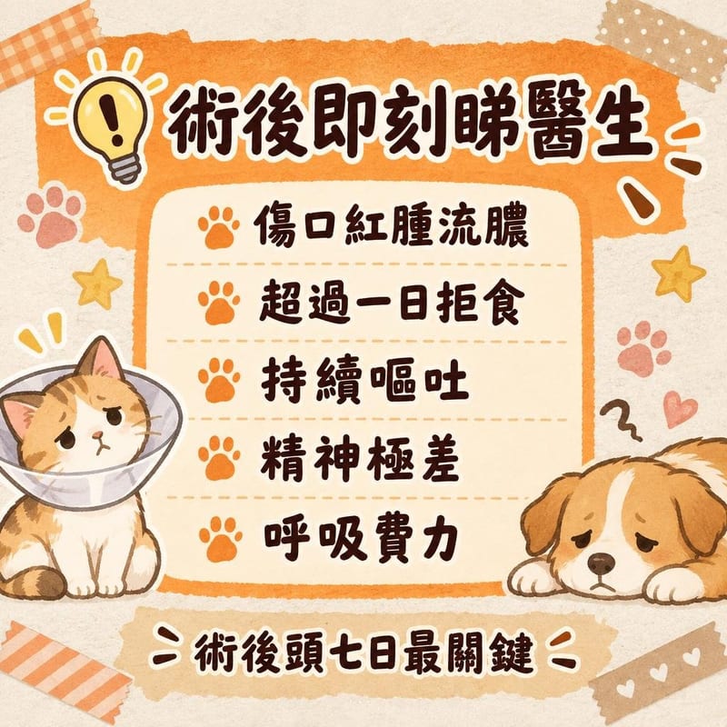 cat-neutering-guide 知識圖卡2