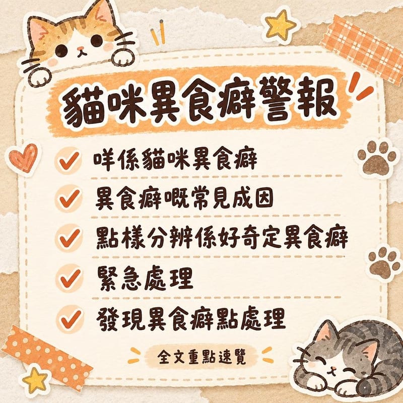 貓咪異食癖警報｜PetChill 圖卡整理