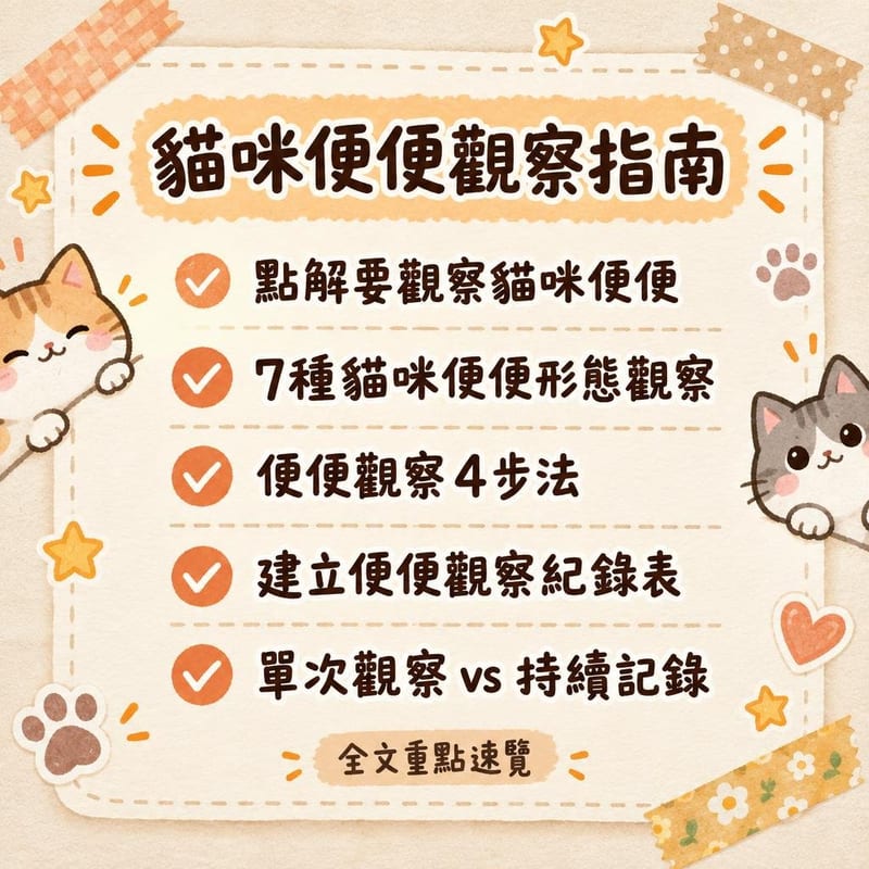 貓咪便便觀察指南｜PetChill 圖卡整理