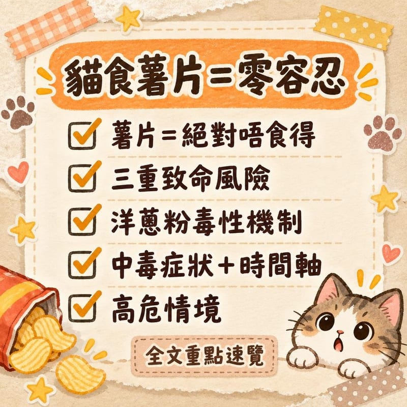 貓食薯片＝零容忍｜PetChill 圖卡整理