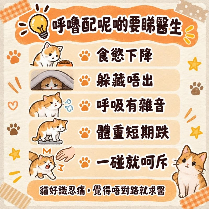 cat-purring-guide 知識圖卡2