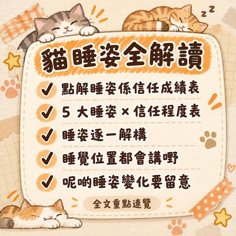 貓睡姿全解讀|PetChill 圖卡整理
