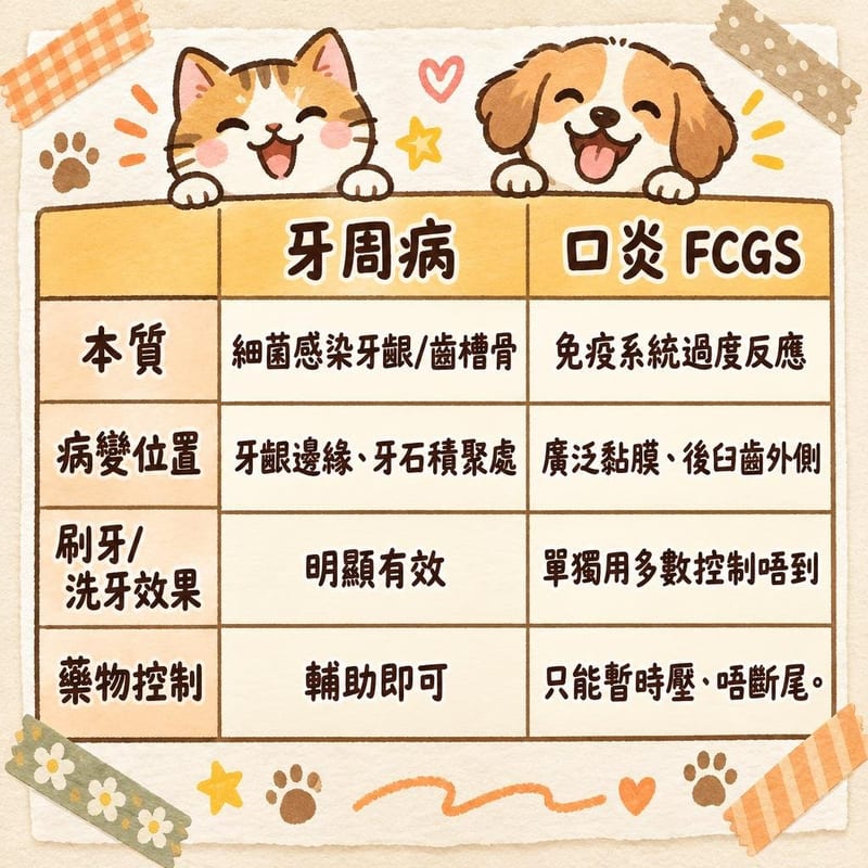 知識圖卡|PetChill 圖卡整理
