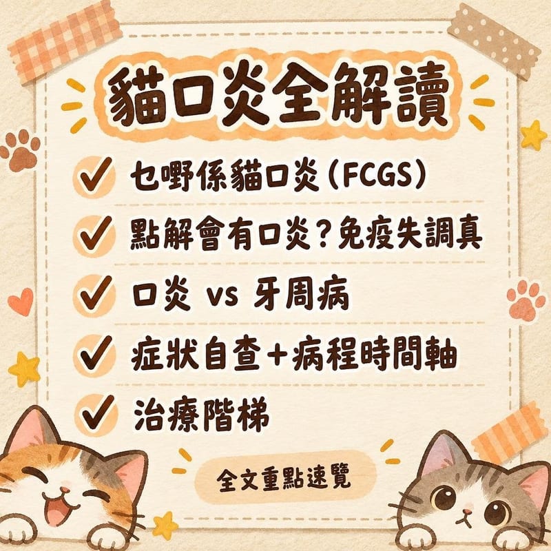 貓口炎全解讀|PetChill 圖卡整理