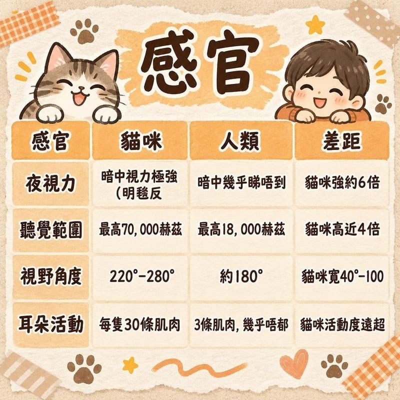 感官|PetChill 圖卡整理