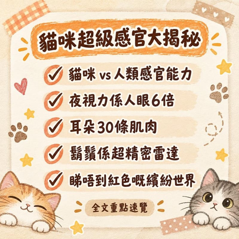 貓咪超級感官大揭秘|PetChill 圖卡整理