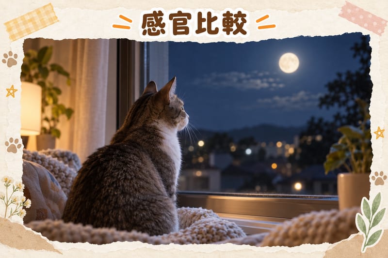 感官|PetChill 圖卡整理