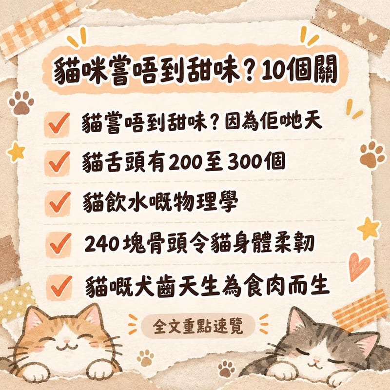 貓咪嘗唔到甜味?10個關|PetChill 圖卡整理