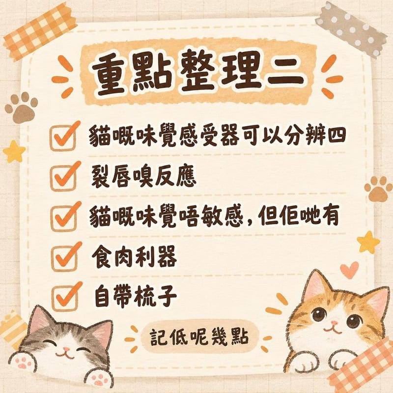 重點整理二|PetChill 圖卡整理