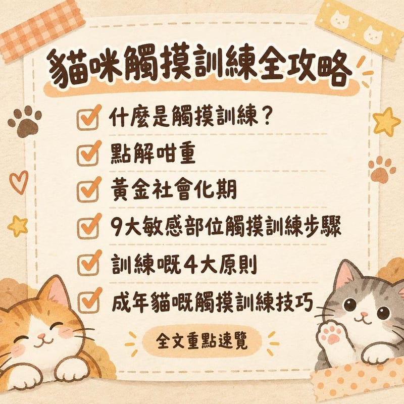 貓咪觸摸訓練全攻略|PetChill 圖卡整理