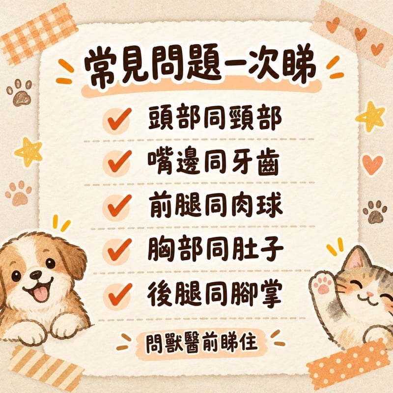 常見問題一次睇|PetChill 圖卡整理