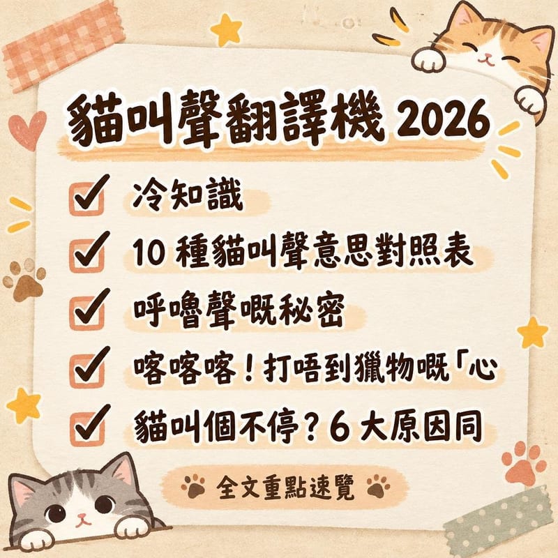 貓叫聲翻譯機 2026|PetChill 圖卡整理