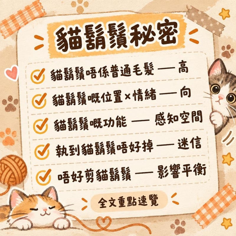 貓鬍鬚秘密｜PetChill 圖卡整理