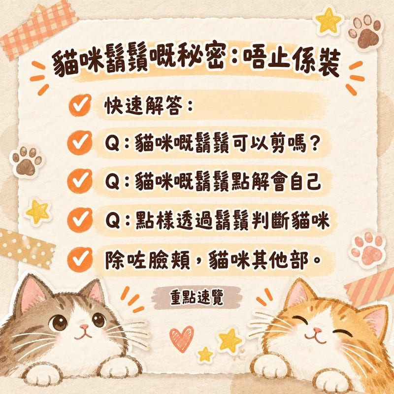 cat-whisker-secrets 知識圖卡2