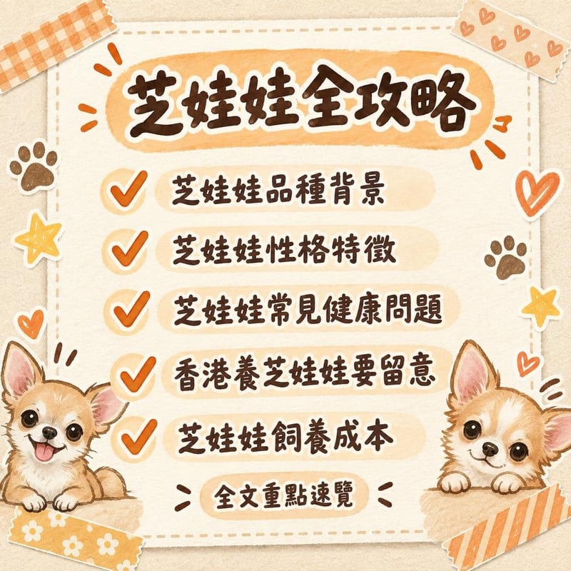 芝娃娃全攻略｜PetChill 圖卡整理