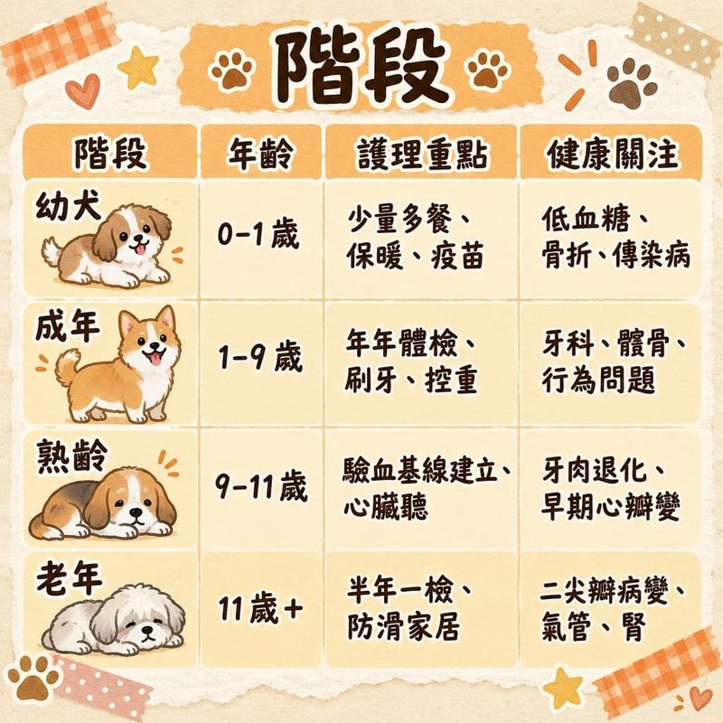 chihuahua-lifespan-hk 知識圖卡1