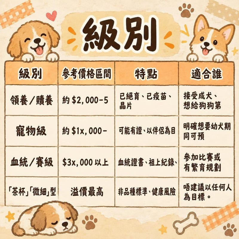 chihuahua-price-adopt-hk 知識圖卡1