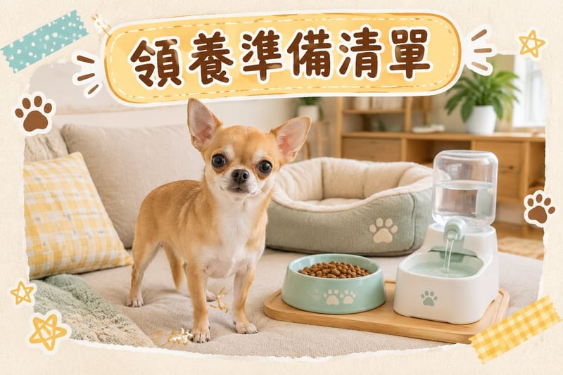 主人將著住小衫嘅芝娃娃放入肩袋,喺街市入口準備入內,場景日常溫馨
