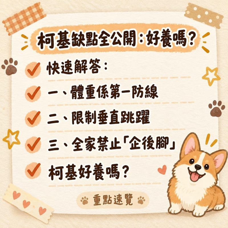 柯基望住梳化猶豫應唔應該跳上去,主人伸手準備接應,場景反映護脊主題