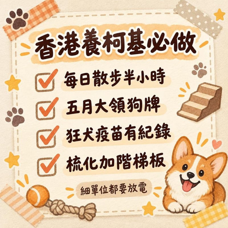 corgi-guide-hk 知識圖卡2