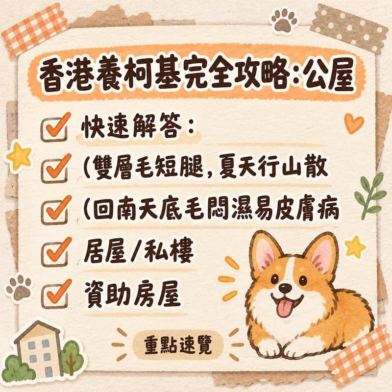 柯基喺室內涼感墊上攤平休息，旁邊放住飲水機，窗外係香港夏日陽光