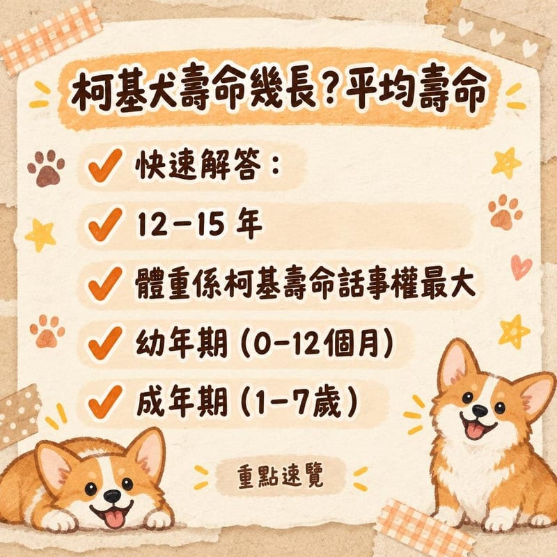 柯基喺公園用嗅聞墊尋找乾糧,主人在旁計時,體現腦力與體重管理主題