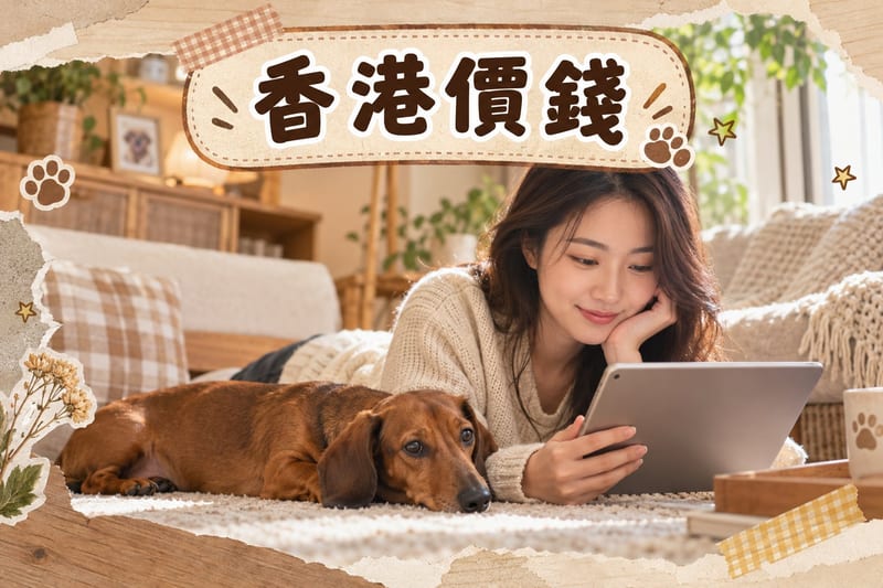 臘腸狗價錢香港指南:長毛同短毛臘腸狗並排企喺客廳地氈上