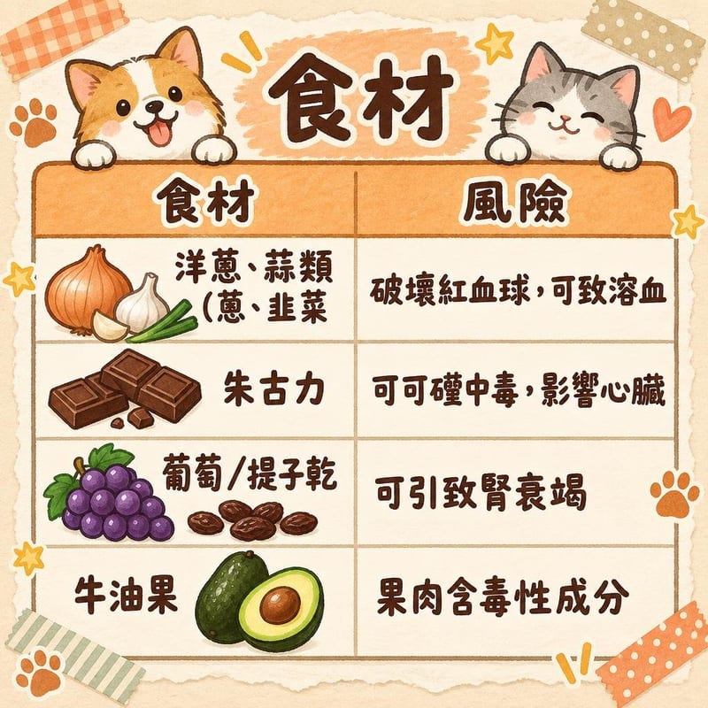 diypet-food-safety 知識圖卡1