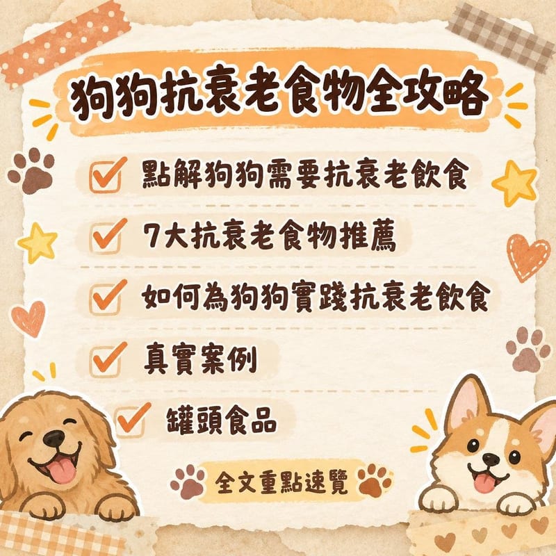 狗狗抗衰老食物全攻略|PetChill 圖卡整理