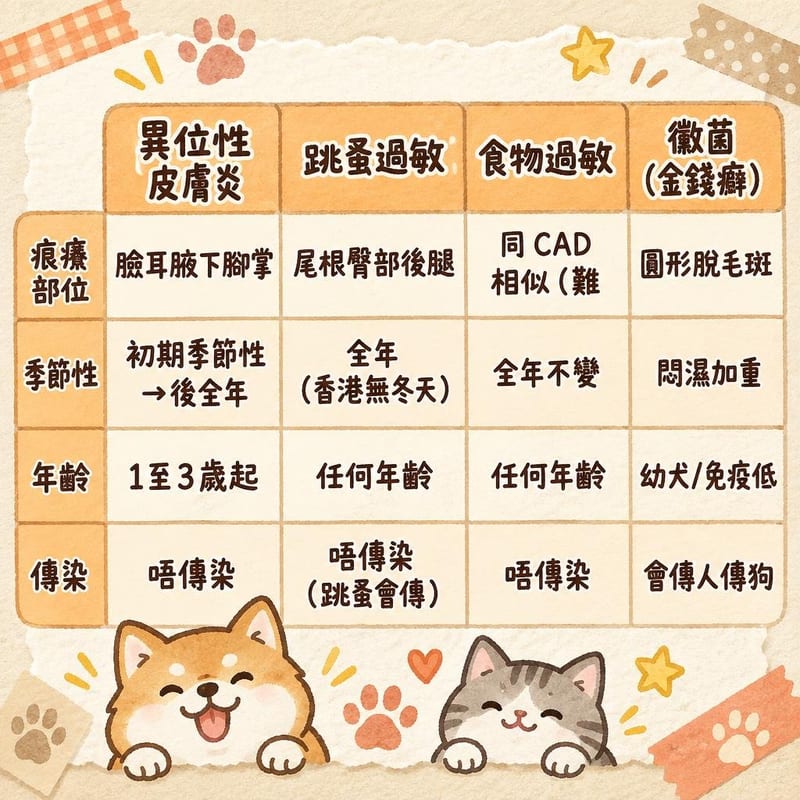 知識圖卡|PetChill 圖卡整理
