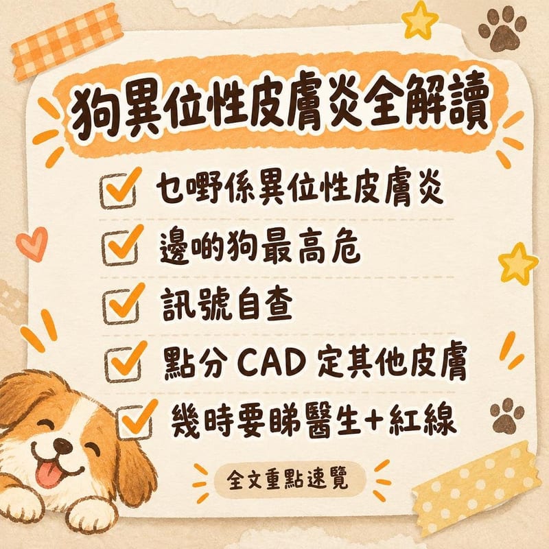 狗異位性皮膚炎全解讀|PetChill 圖卡整理