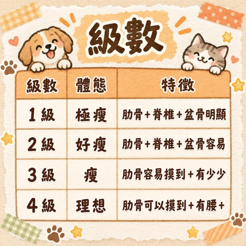 級數｜PetChill 圖卡整理