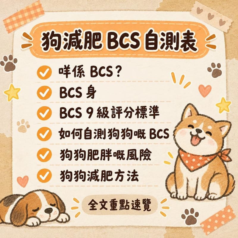 狗減肥 BCS 自測表｜PetChill 圖卡整理