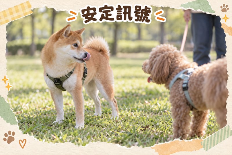 信號類型|PetChill 圖卡整理