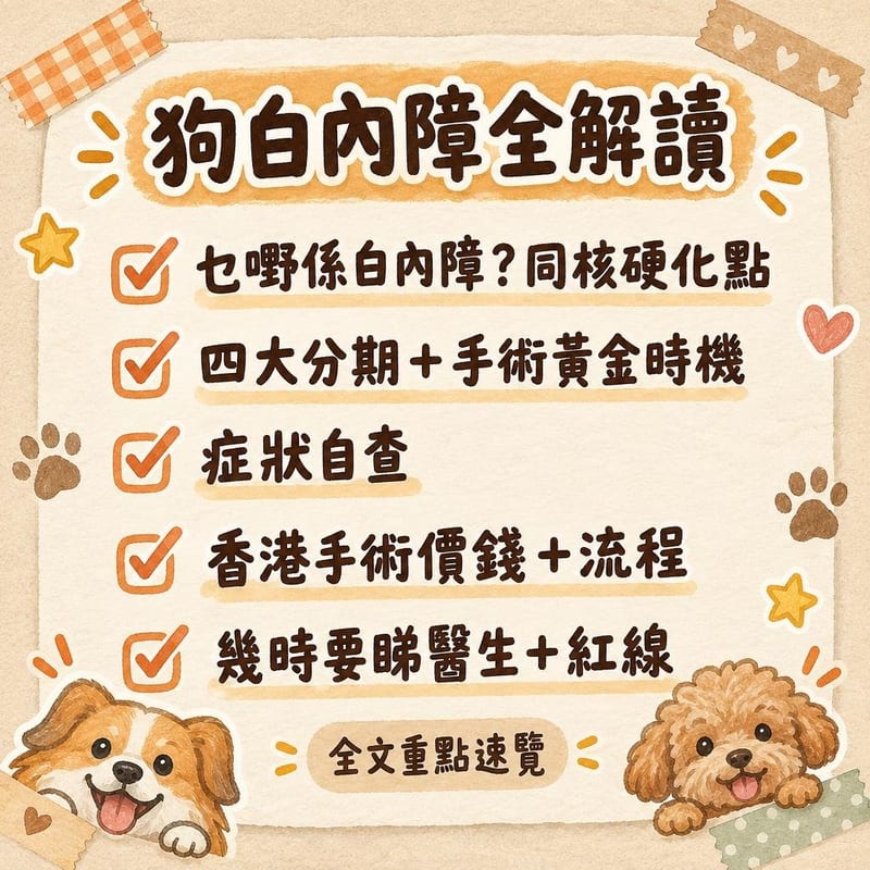 狗白內障全解讀｜PetChill 圖卡整理