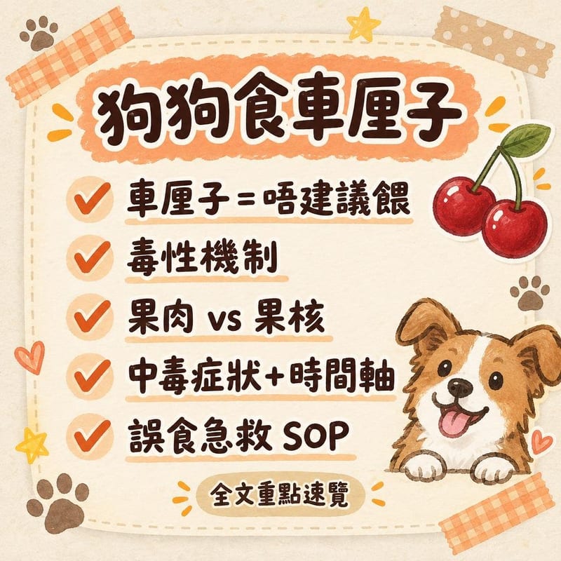 狗狗食車厘子|PetChill 圖卡整理