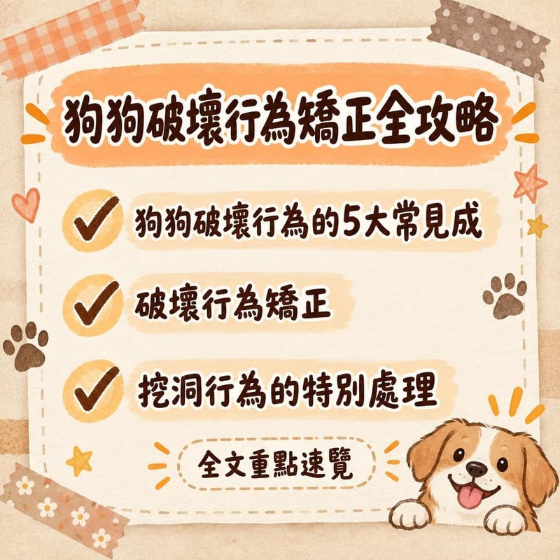 狗狗破壞行為矯正全攻略｜PetChill 圖卡整理