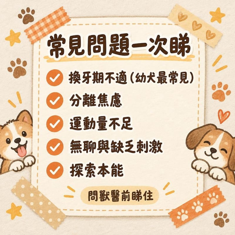 常見問題一次睇｜PetChill 圖卡整理