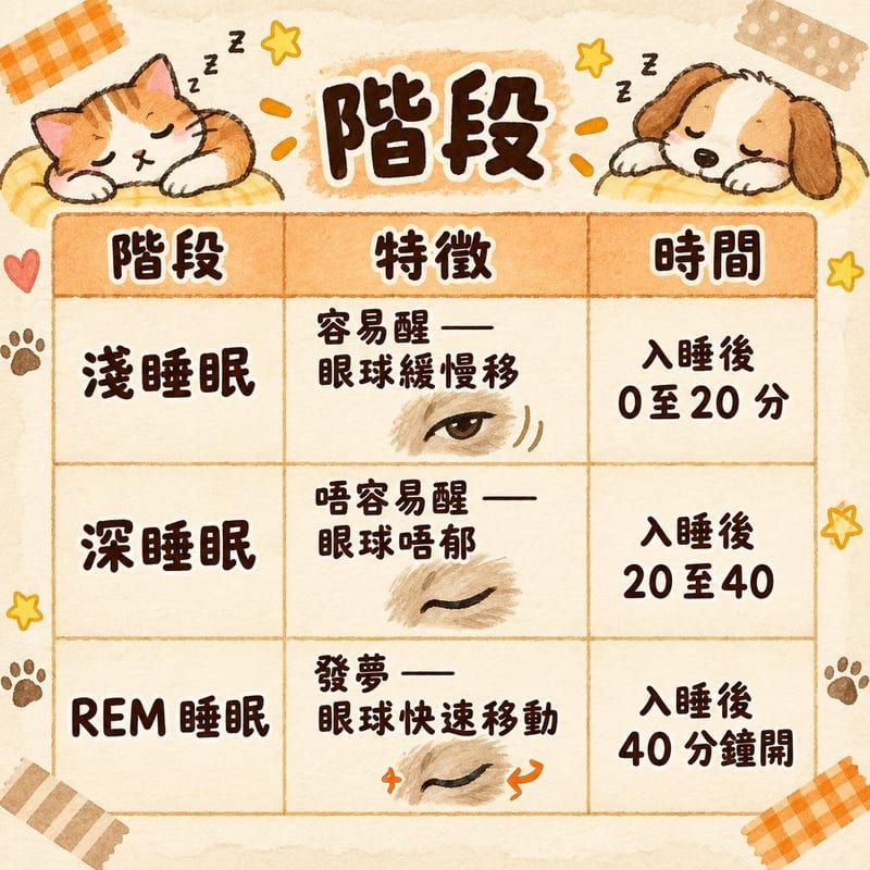 階段｜PetChill 圖卡整理