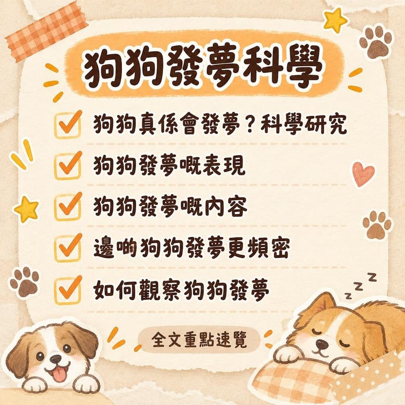 狗狗發夢科學|PetChill 圖卡整理