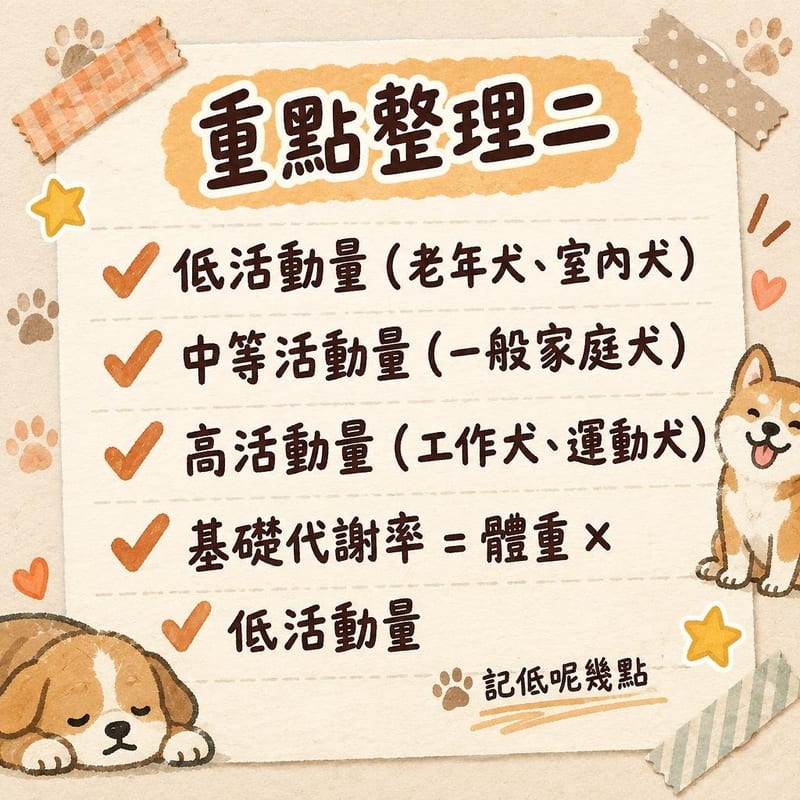 重點整理二|PetChill 圖卡整理