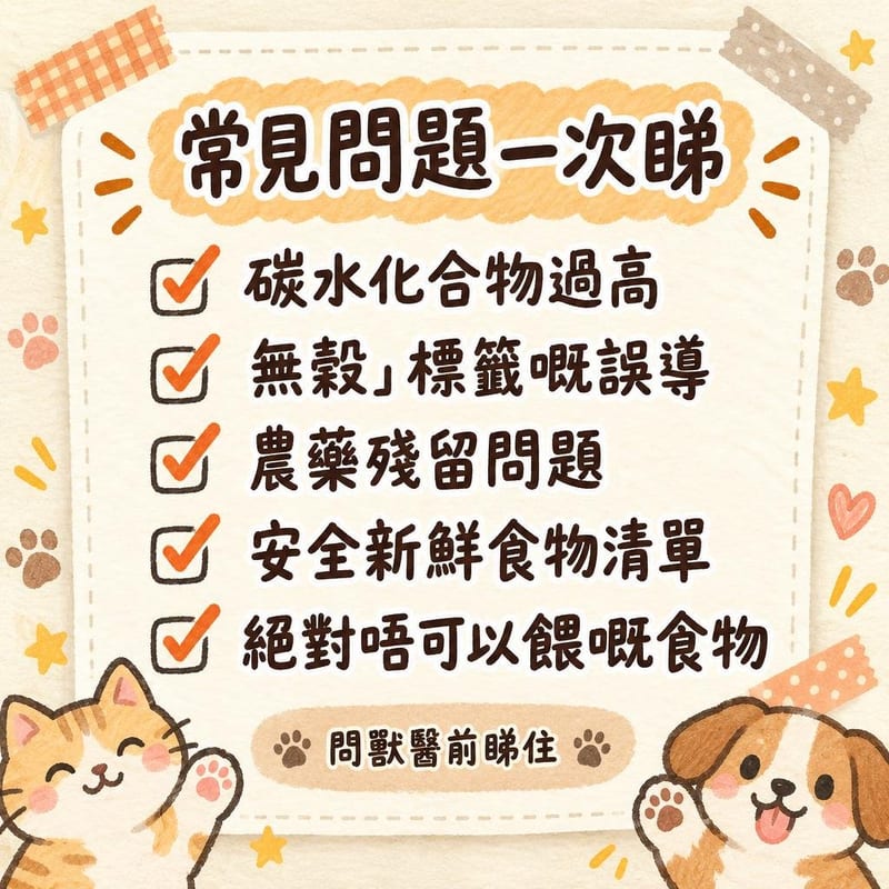常見問題一次睇|PetChill 圖卡整理