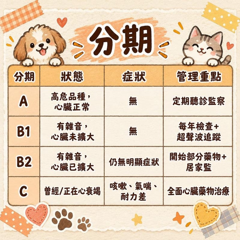 分期|PetChill 圖卡整理