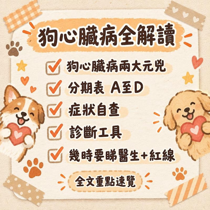 狗心臟病全解讀｜PetChill 圖卡整理
