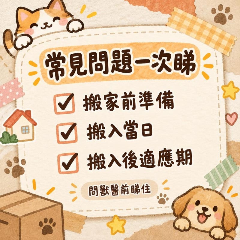常見問題一次睇|PetChill 圖卡整理